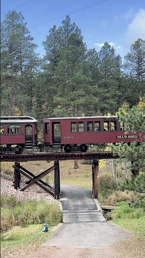 Black Hills Central: On the Forest Trestle #railwaybridge #railshorts #steamlocomotive #steamrail