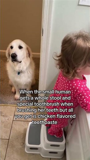 He was 99% sure he was gonna have to jump to her rescue if she fell off that stool 🙃🦷🪥 #fyp