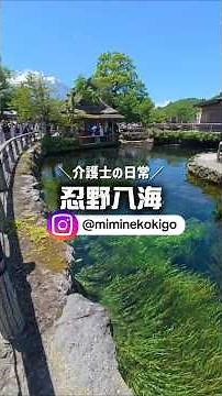 ずっと行ってみたかった忍野八海へ。富士山の雪解け水が何十年もの歳月をかけて湧き出す神秘的な場所。 #忍野八海 #山梨観光 #富士山 #絶景スポット #キャンピングカー旅