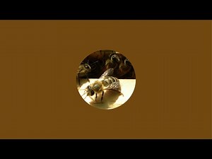 Experiment Imkern überträgt einen Livestream.