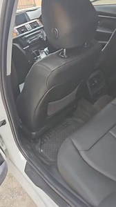 GOSPEL THE TURTLE 🐢 | David Davis