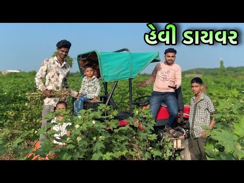 હેવી ડાયવર હો ભાઈ || heavy driver ho bhai