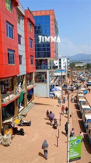 Jimma: Oromia's Cultural Heart on TikTok
