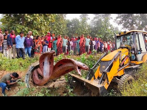 JCB KI KHUDAI VIDEO MUD| NEW JCB3DX LOADING MUD| MAHINDRA TRACTOR AND JCB TOCHAN VIDEO MUD