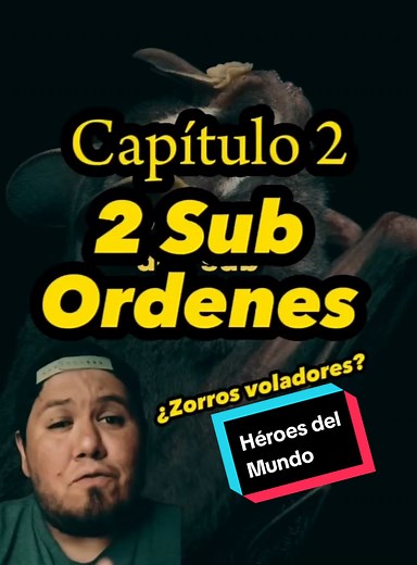 Tipos de Murciélagos y su Diversidad