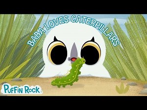🐛 Baba Loves Caterpillars Compilation 🐛 | A Calm Nature Adventure 🌿