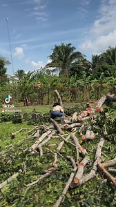 Andrea Leal on Reels