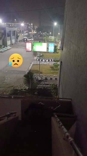 #pa #toro #shpo #gerze #janana #trading #foryou #10millionviews #unfireezemyaccount #