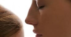 The Beautiful Occasion (2017)  - Ver Película Completa en Español - FULLTV