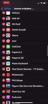 Bildschirmzeit IOS umgehen || genaueres Tutorial