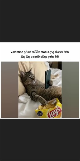 Valentine's Day Humor to Brighten Your Day