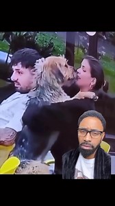 3.7M views · 6.5K reactions | They Call it Puppy Love | D'LAI | Facebook