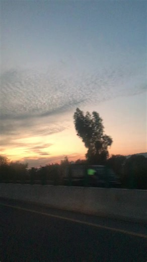 Exploring Travel Life Through Song Lyrics