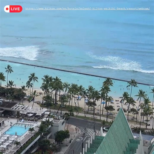 6.3K views · 141 reactions |  Did you know you can get a live look at Waikiki Beach any time on our site?  Instantly transport from your computer to our hotel!  Link to the live stream in our bio! #hiltonwaikikibeach #hilton #waikikibeach #waikiki #waikikiviews #waikikihotel #beach #oceanview #oceanfront #hawaii #oahu | Hilton Waikiki Beach Resort & Spa | Facebook
