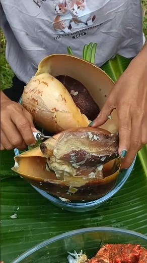 🐚🔥 Giant Boiled Seashell – HUGE Juicy Meat Inside! 🤤🌊