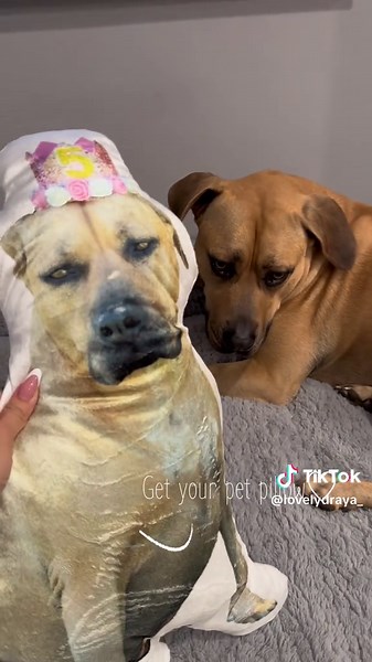 Custom 3D Pet Pillows for Animal Lovers