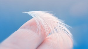 How the brain distinguishes textures—from sandpaper to silk