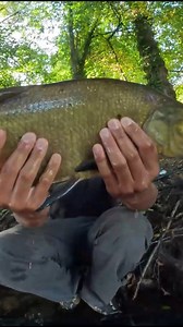 10K views · 95 reactions | "La brême" petit best of de moments drôles avec le momo :) | Rémi l'Aventurier | Facebook