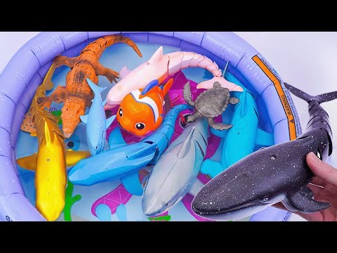 Toy ASMR 🐠 Sea Dinosaur vs Sharks vs Whales | Ocean Animal Playset Unboxing