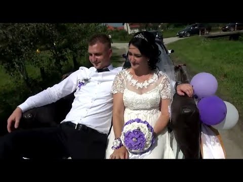 Svadbeno veselje Aldin i Meliha | Muzika: Semir i Sanel, Kemal i Ceni Band (Arhivski snimci)