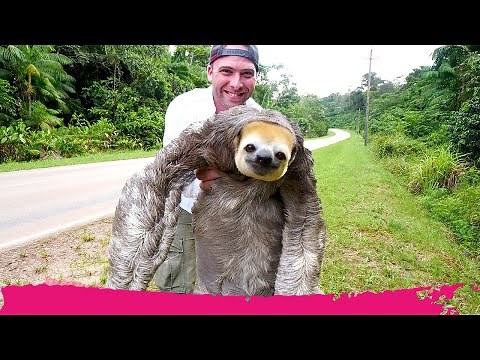 Top 10 Places to Visit in Suriname