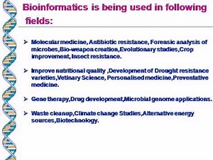BIO Informatics
