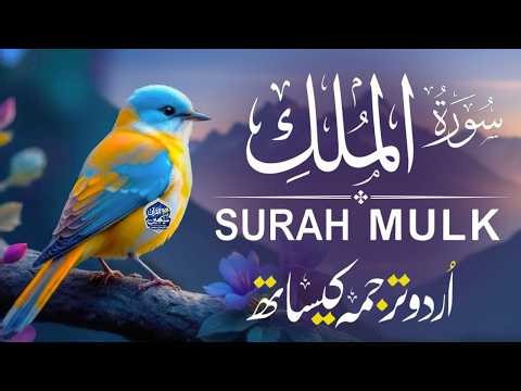 Surah Mulk with Urdu Translation | Heart Touching Recitation by Qari Mansoor Ghaznawi | Ep029