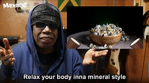 Macka B's Medical Monday 'The Natural Tea That Makes Millions Smile Everyday' Please leave a comment and share #health #healthyliving #MackaB #healthtips #healthyfood #healthyfoods #healthyeating #healthyeats | Macka B