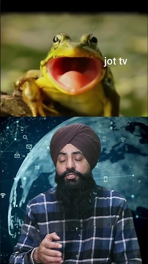 Leap into Wonder: Fascinating Facts About Frogs #Frogs #Amphibians #Wildlife #Nature