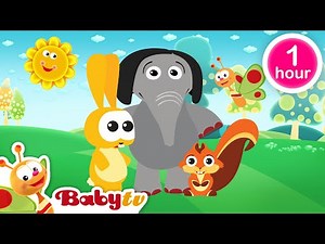 Jouer au football ⚽​ + plus de classiques de BabyTV 📺 | épisodes complets ‪@BabyTVFR‬