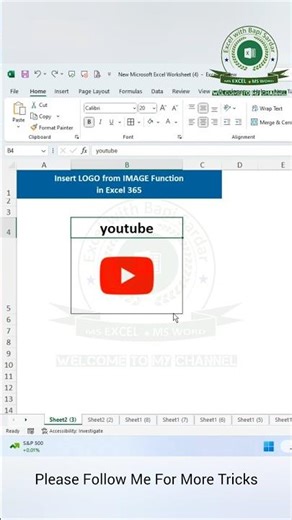 Insert Logo in Excel using IMAGE Formula! #exceltips