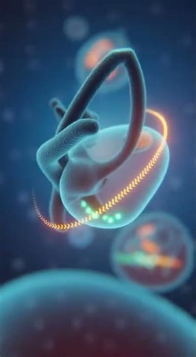 Top Benefits of PQQ | Mitochondrial Energy, Cellular Repair & Anti-Aging Support #healthydiet