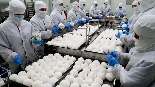 1.5M views · 10K reactions | Exporting 3000 tons a day!! Amazing Process of Coconut Water in Mass Production - Thailand Factory #coconut #coconutwater #factory #coconutoil #coconutmilk | Food Processing | Facebook