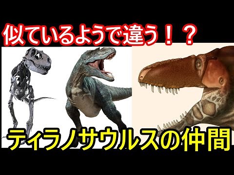 あなたは違いを知ってる！？ティラノサウルスの仲間3選！！【ゆっくり解説】【ゆっくり達の恐竜解説＋】ゴルゴサウルスダスプレトサウルスアルバートサウルス①