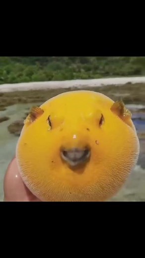 Funny Vending Machine Voiceover Blooper Reel