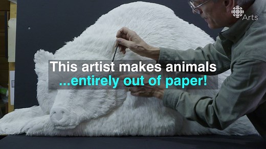 Believe it or not, these animals are made from hundreds of pieces of paper! Learn more about Calvin Nicholls Paper Sculpture: https://bit.ly/2Ac5Y9V | CBC Arts