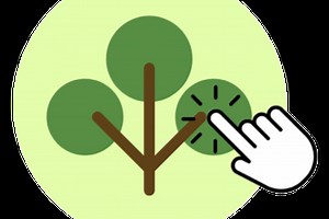 TreeTap