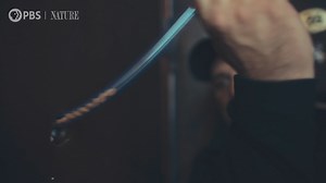 496 reactions · 102 shares | In the midst of violence and war, Ukrainian citizens are coming together to rescue the animals left behind by those forced to flee. Witness a moving view of animals affected by war, and the humans that help them. | Nature | PBS | Facebook