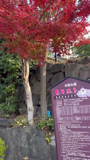 島原温泉♨️飲めます