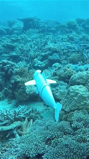 TED Talks on Instagram: "These unique robots are designed to move like real fish. Built with artificial muscles and a flexible tail, these soft-bodied bots can swim silently through the ocean — capturing footage of sea creatures and navigating complex environments. They are the creation of @TEDFellow and engineer Robert Katzschmann (@tarquasso) who is on a quest to dive deeper into the undiscovered parts of the natural world. “I believe we have to rethink every machine ever invented from a holis