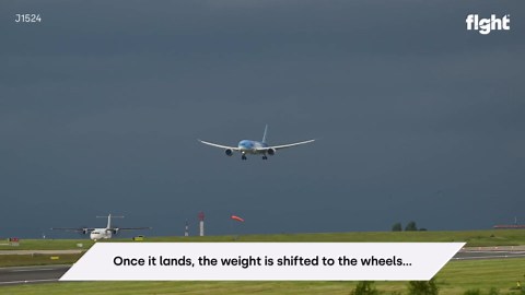 Massive wing flex on 787 landing caught on camera