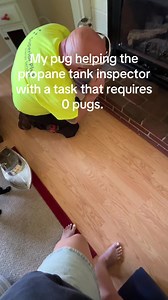 Pug Helps Propane Tank Inspector — Cute Task Moment