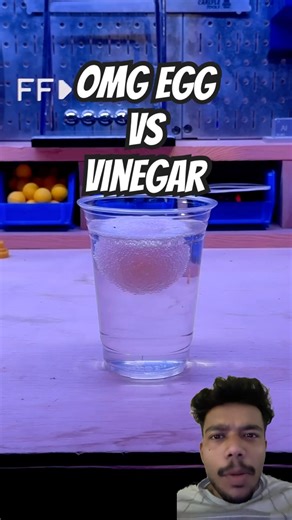 egg vs vinegar #shorts #youtubeshorts #experiment #science #ytshorts #crushing #omg #reactionvideo
