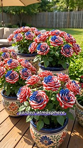 Let your garden bloom with the colors of the national flag using seeds with a flag pattern 🌼🇺🇸 Easy to grow, even beginners can easily master it 🌱 These vibrant flowers will brighten your patio, garden, and flowerpots, bringing life to your space throughout their blooming season 🌿💐 ✨ Beautiful colors ✨ National flag flowers ✨ Suitable for any space 👉 Click to buy now and start planting beauty 🛍️🌸 | Floseeds-X