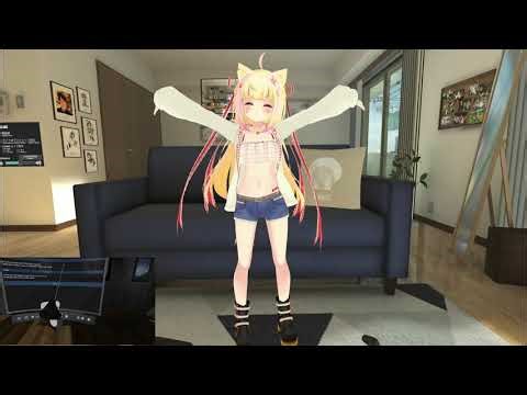 VRChatterのためのVRゴーグル・フルトラ機器レビュー