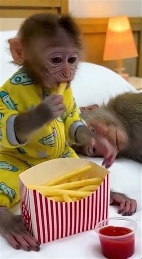 Delightful puppy fails that will make your day #cute #funny #fyp