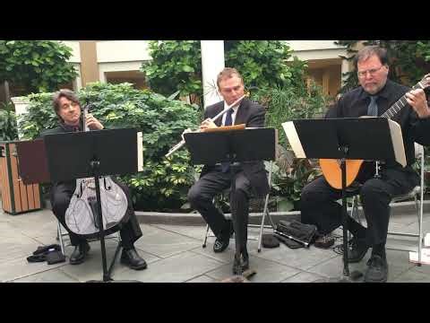 Classical trio for New York Tri state weddings (Guitar, Flute and Cello)