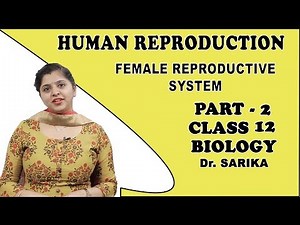 Human Reproduction Class 12 Biology | Female Reproductive System | iWiz Sarika
