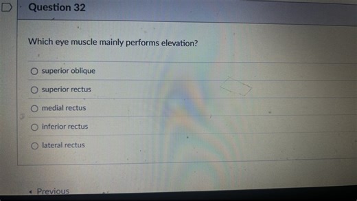 Which eye muscle mainly performs elevation?  superior oblique s... | Filo