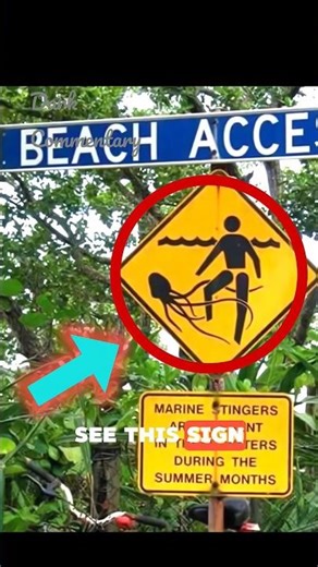 Don't Swim If You See This Sign😱 #commentary #funfacts #facts #scary #sign #trend #viral #dangerous